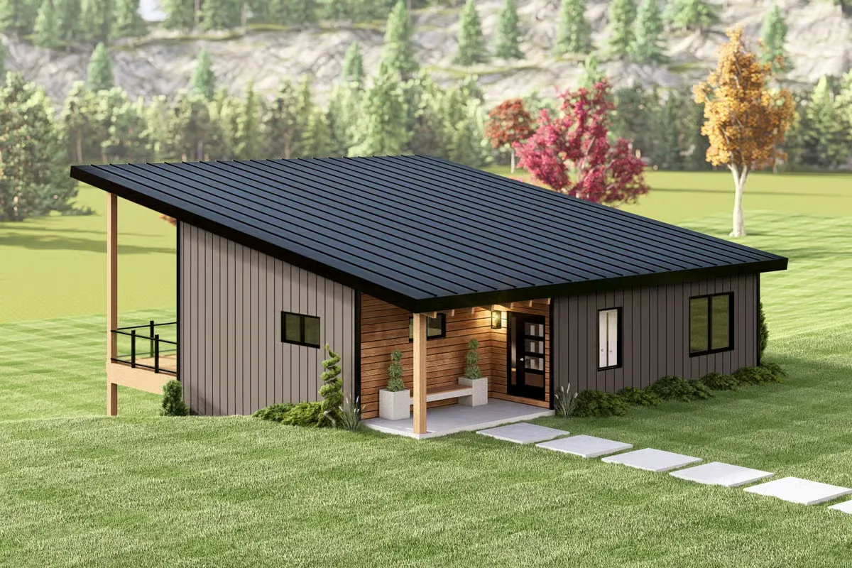 Coyote rendering