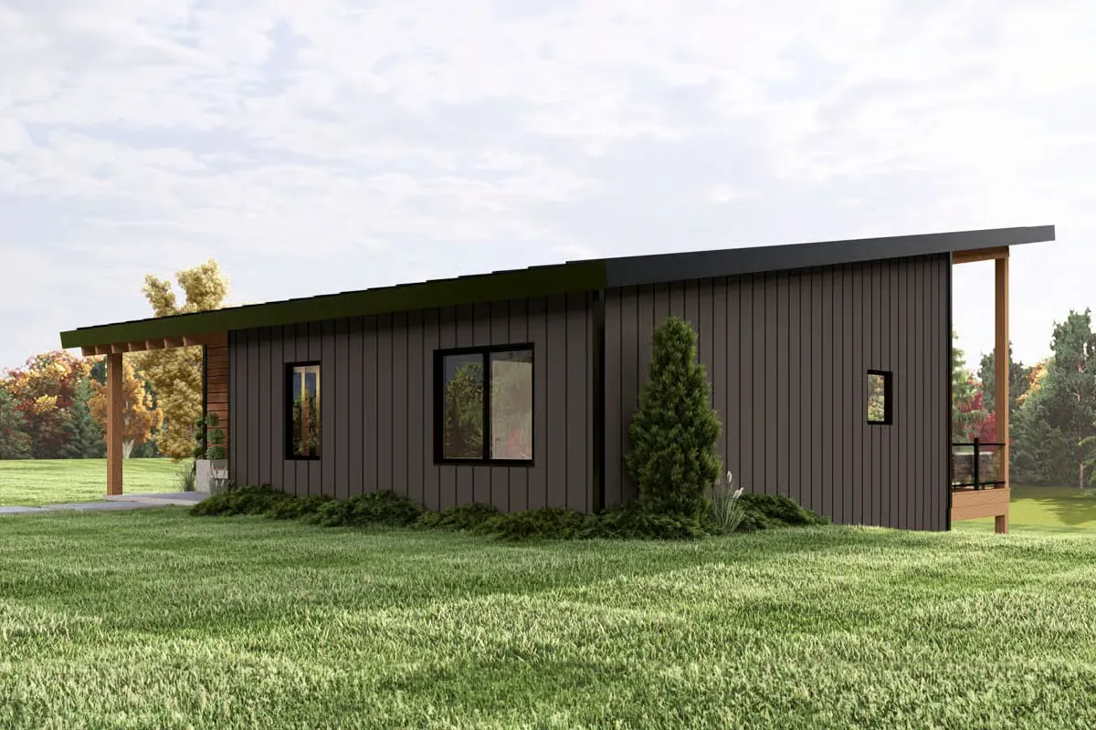 Coyote rendering